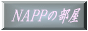 NAPP�̕���